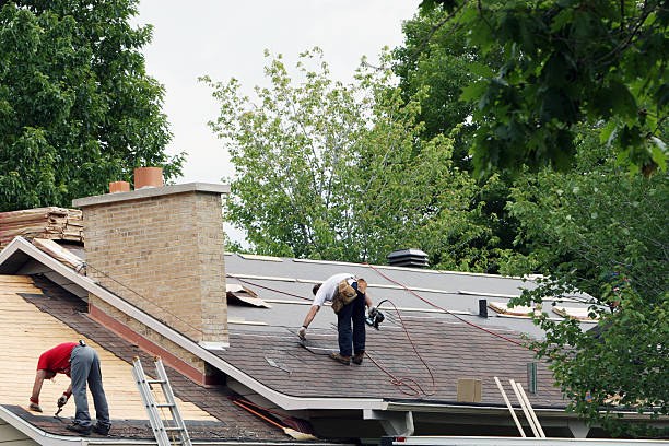 Best Roof Restoration Services  in Eleanor, WV