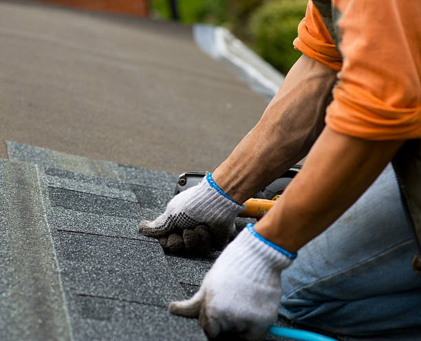 Best Roof Maintenance Services  in Eleanor, WV