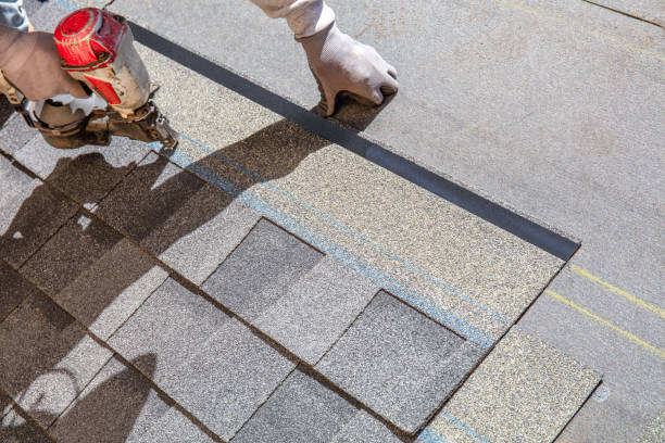 Best Roof Repair Services  in Eleanor, WV